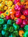 Multiple colored bell peppers stacked for sale