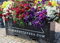 Multiple colored flowers bloom in a plant container at G Street plaza