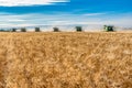 Wymark, SK- Sept 8, 2020: Multiple combines harvesting wheat in a field at sunset in Wymark, Saskatchewan