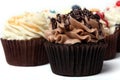 Multiple Cupcakes on White Background Royalty Free Stock Photo