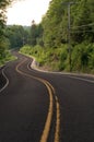 Multiple Curves in a Road Through the Forest