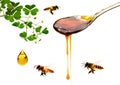 Multiple Drops of Honey String from Drizzler. Royalty Free Stock Photo