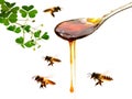 Multiple Drops of Honey String from Drizzler. Royalty Free Stock Photo