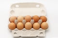 Multiple eggs in cardboard box on a white background