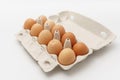 Multiple eggs in cardboard box on a white background