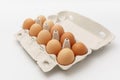 Multiple eggs in cardboard box on a white background