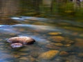 Calm pond on a river