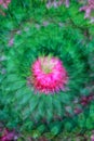 Multiple exposure of red rhododendron flower with a green leaf in the center