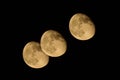 Multiple exposures shot of the moon