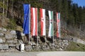 Multiple flags against a forrest background.