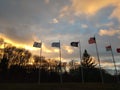 Multiple flags in the sky tree silhouette