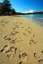 Multiple footprints on sand
