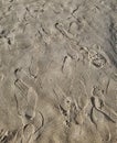 Multiple footprints in sand at the beach on a sunny day. Foot imprints background, shoe marks Royalty Free Stock Photo