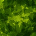 Multiple green maple leaves. Layered collage background Royalty Free Stock Photo