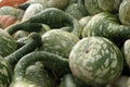 Multiple Green speckled Gourds