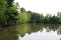 Multiple green trees and a pond at a park in Apex