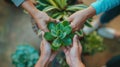 Hands Holding a Green Plant.AI generated image Royalty Free Stock Photo