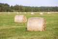 Multiple hay rolls on a field in summer in Hiiumaa, Estonia Royalty Free Stock Photo