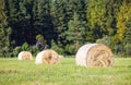 Multiple hay rolls on a field in summer in Hiiumaa, Estonia Royalty Free Stock Photo