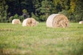 Multiple hay rolls on a field in summer in Hiiumaa, Estonia Royalty Free Stock Photo