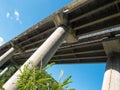 Multiple Lane Highway  bridge with reinforced concrete columns. Bottom view Royalty Free Stock Photo