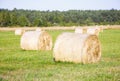 Multiple hay rolls on a field in summer in Hiiumaa, Estonia Royalty Free Stock Photo