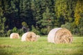 Multiple hay rolls on a field in summer in Hiiumaa, Estonia Royalty Free Stock Photo