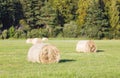 Multiple hay rolls on a field in summer in Hiiumaa, Estonia Royalty Free Stock Photo