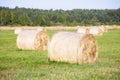 Multiple hay rolls on a field in summer in Hiiumaa, Estonia Royalty Free Stock Photo