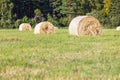 Multiple hay rolls on a field in summer in Hiiumaa, Estonia Royalty Free Stock Photo