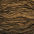 Multiple layers of crumpled brown paper create an intricate, textured pattern resemb Royalty Free Stock Photo