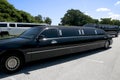 Multiple Limos Royalty Free Stock Photo