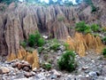 Termite mound on nature`s lap