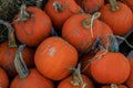 Multiple Orange Pumpkins with Hay