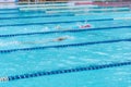 Multiple people swimming laps in the lanes, Water sports and competition Royalty Free Stock Photo