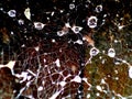 Multiple raindrops on a spiders web, South Wales UK Royalty Free Stock Photo