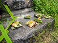 Multiple rice and flower offerings made out of palm leaves at th