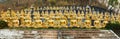 Multiple rows of golden statues of the Buddha at Wat Phou Salao, Pakse, Laos