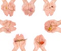 Multiple sets of hands gently holding different types of flowers Royalty Free Stock Photo