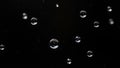 Multiple Clear Water Droplets Falling Against Black Reflective Background in Motion Royalty Free Stock Photo