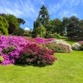 Multiple species of trees, flowers and bushes in the Gardens of the Villa carlotta in Tremezzo