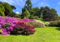 Multiple species of trees, flowers and bushes in the Gardens of the Villa Carlotta in Tremezzo.