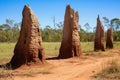 multiple termite mounds at different stages of development