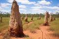 multiple termite mounds at different stages of development