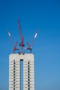 Multiple tower cranes above a concrete structure