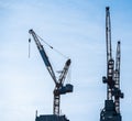 Multiple tower cranes above a concrete structure