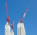 Multiple tower cranes above a concrete structure
