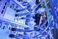 Multiple twisted-pair cables plugged into network switches