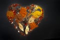 Multiple various spices forming a heart shape, isolated on black Royalty Free Stock Photo