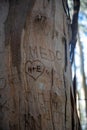 Writing on the tree trunk N+E. People in love